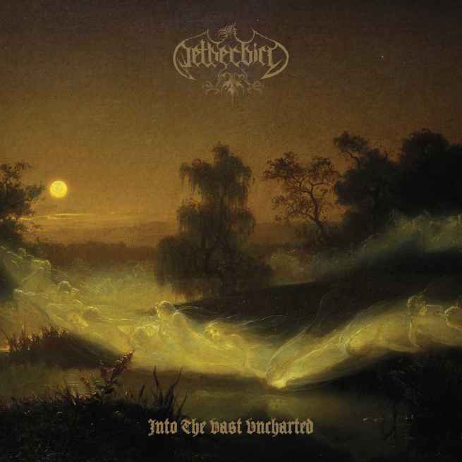 NETHERBIRD - Into the Vast Uncharted CD